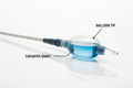 POWERFLEX Pro PTA Dilatation Catheter studio shot with balloon in partially inflated state, tip and shaft labeled on white surface
